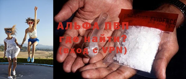 ECSTASY Богородицк