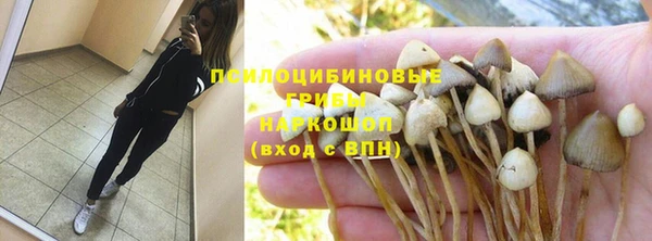 ECSTASY Богородицк