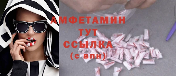 ECSTASY Богородицк