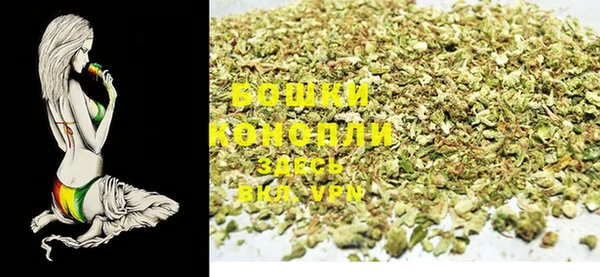 стафф Богданович