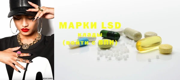 ECSTASY Богородицк