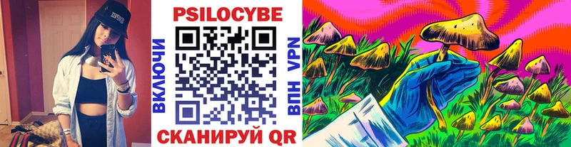 где найти наркотики  Нижневартовск  darknet как зайти  Псилоцибиновые грибы Cubensis 
